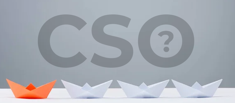 CSO - Chief Sales Officer